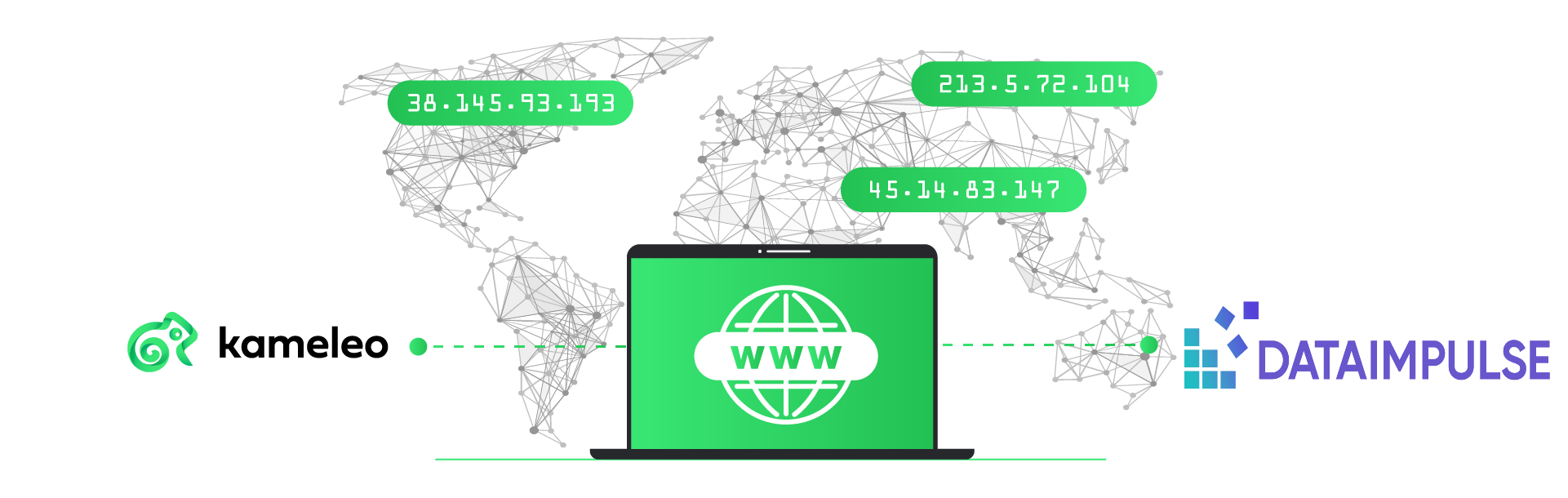proxy-partners-integration-guide-dataimpulse-x-kameleo.png