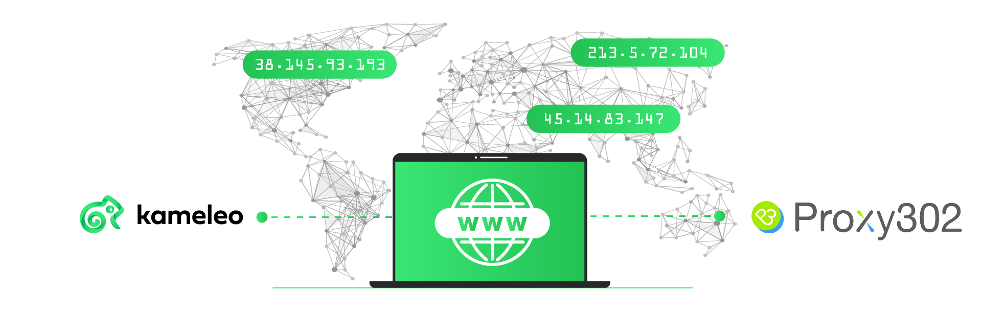 proxy-partners-integration-guide-kameleo-x-proxy302.png