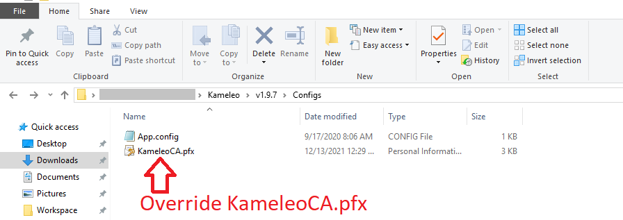 Override-KameleoCA.png