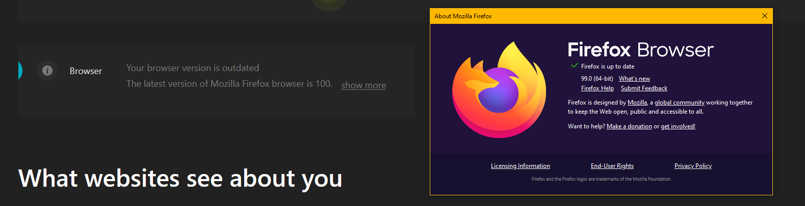 kameleo-false-positive-regular-firefox.png
