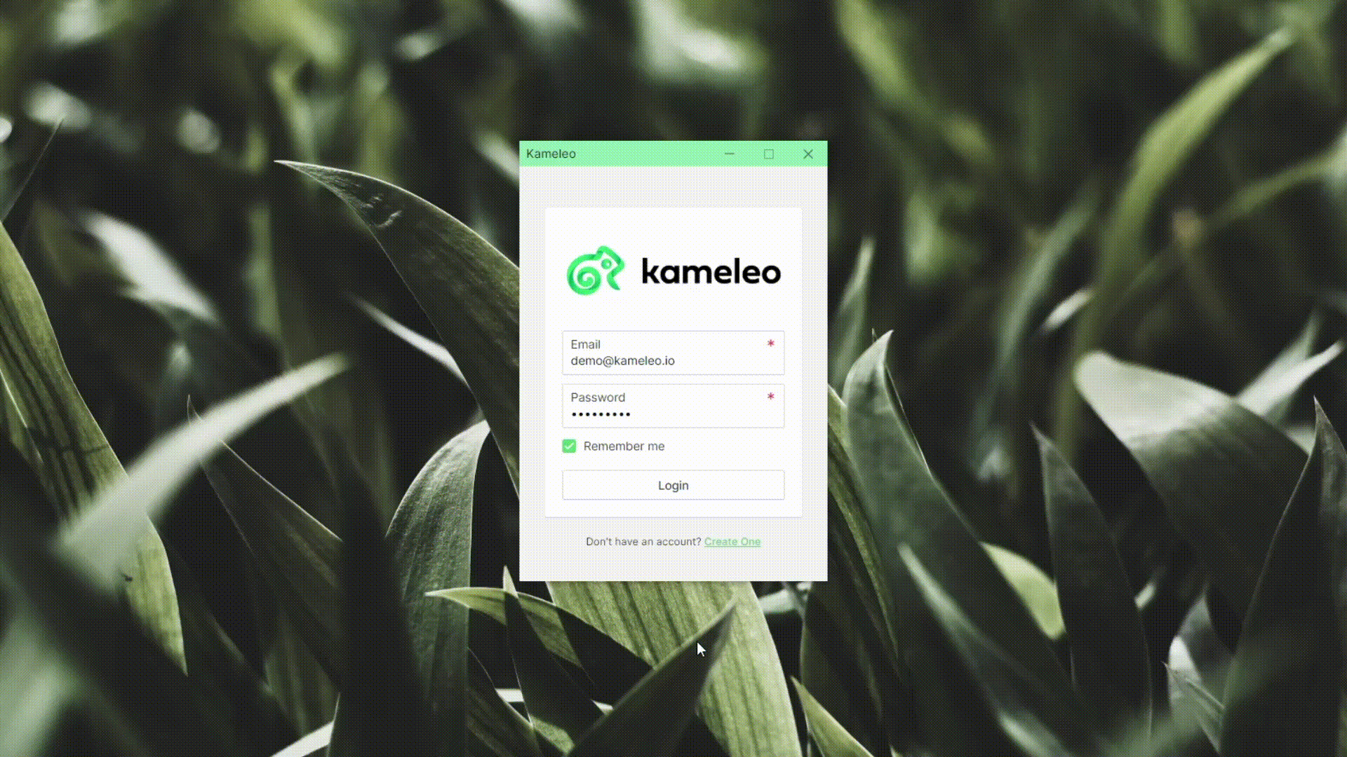 kameleo-new-profile-start.gif